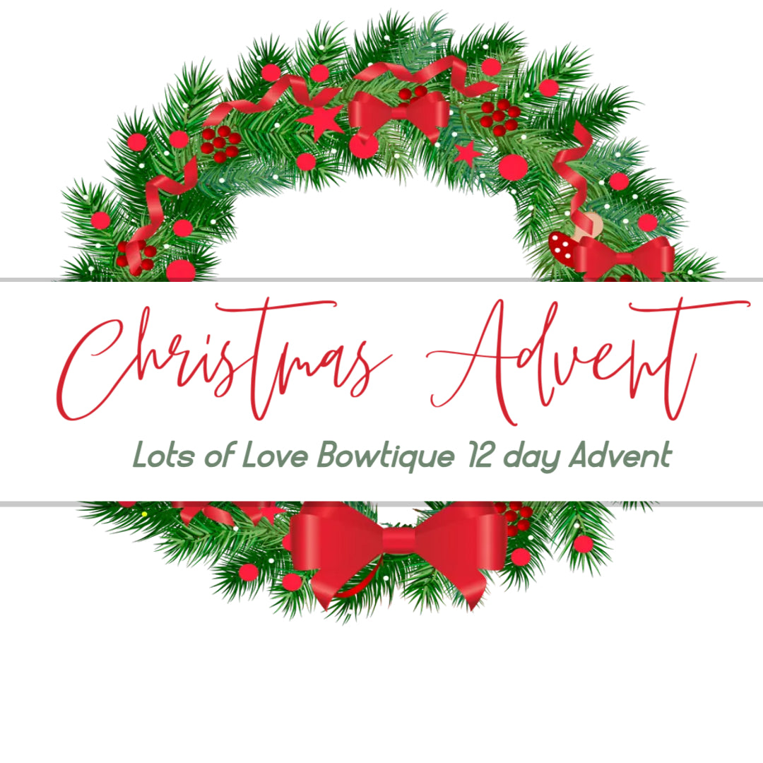2024 12 day Advent Calendar- Preorder