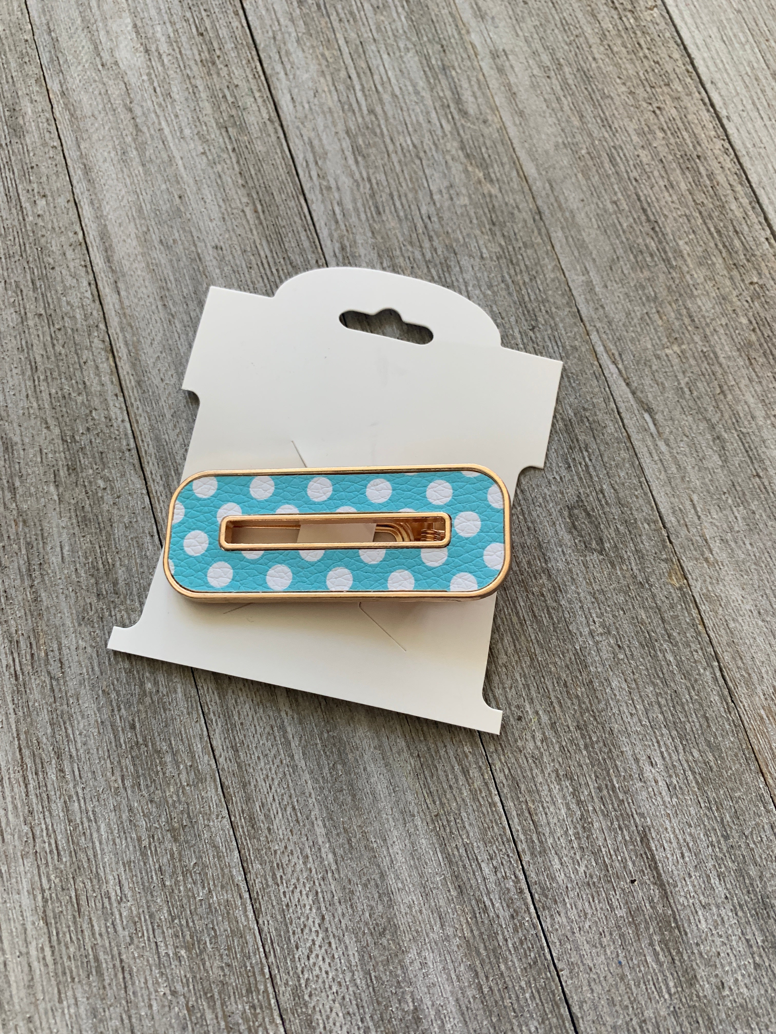 Aqua Dot Rectangle Clip